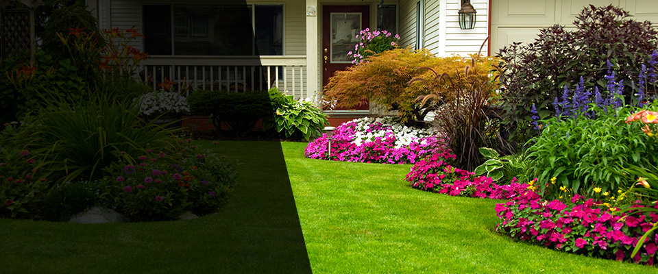 San Carlos Landscapers